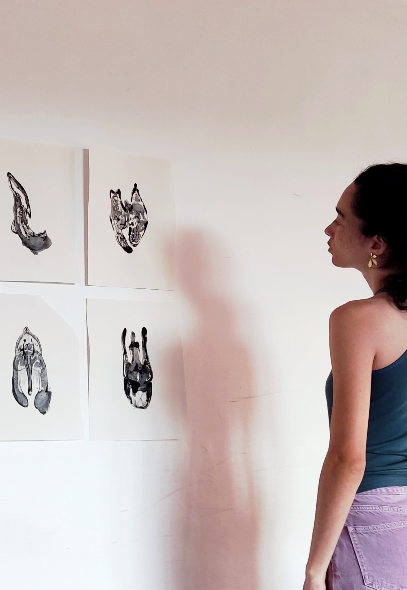 Vue d'un accrochage de dessins de la série Coleopterra, avec silhouette d'une personne la regardant